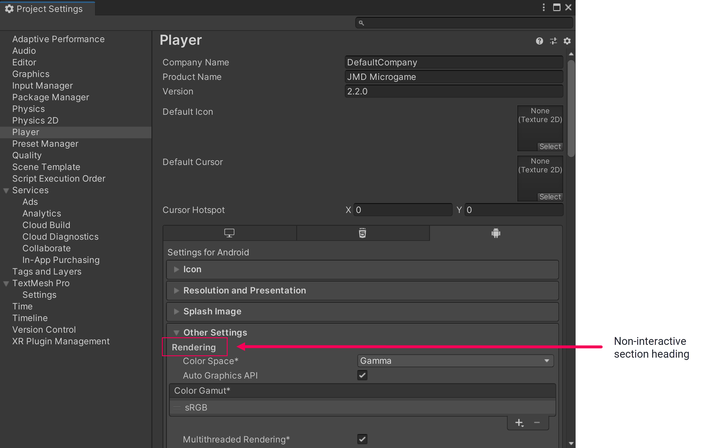 Example of a non-interactive section heading in the Project Settings window